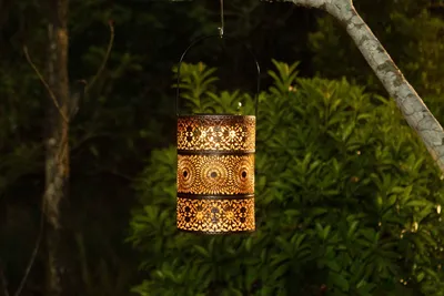 A decorative lantern hanging from a tree branch at dusk.