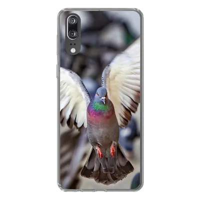Produktbild von MuchoWow® Handyhülle Schutzhülle Hülle für Huawei P20 Nahaufnahme einer fliegenden Taube Silikon Softcase Handy Hülle - Hardcover