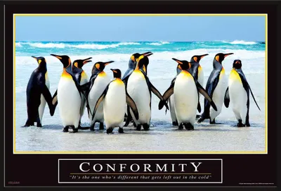 Immagine prodotto di Poster motivazionale - Conformity + cornice a incastro, Shinsuke® Maxi in plastica nera, lastra in acrilico