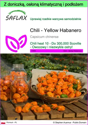 Zdjęcie produktu dla SAFLAX - Garden to go - Chili - Yellow Habanero - 10 Nasiona - Z doniczką, pokrywą klimatyczną i podłożem do uprawy - Capsicum chinense