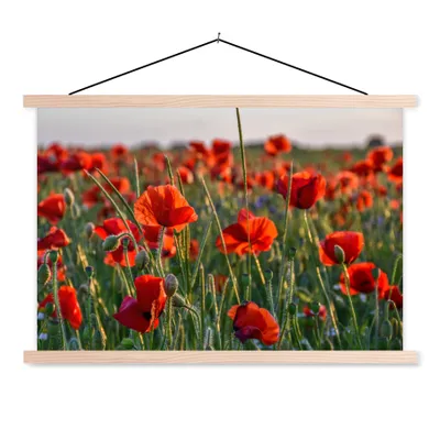 Produktbild von MuchoWow® Textilposter Blumen - Mohnblumen - Natur - Rot 60x40 cm mit holzfarbenen Rahmen - Bilder