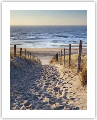 Produktbild von Poster - Poster ohne Rahmen - Meer Strand Düne - 40x50 cm - Wand Bild - Wanddeko - Wandbilder - Kunstposter - Wandposter - Bilder - Kunstdruck - Wanddekoration - Wandbild - P2XPA40x50-3612