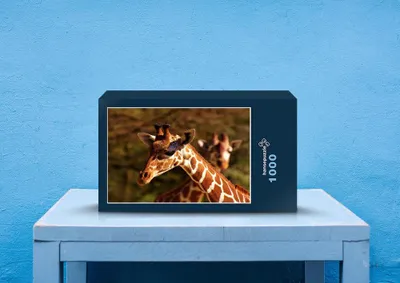 Produktbild von hansepuzzle 78994 - Giraffe Puzzle, 1000 Teile, Natur, 60,0 x 46,0cm mit hochwertiger Aufbewahrung, Kartonbox und wiederverschließbarem Beutel
