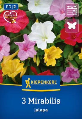 Produktbild von Kiepenkerl Wunderblume Jalapa Mix 3 Pflanzen