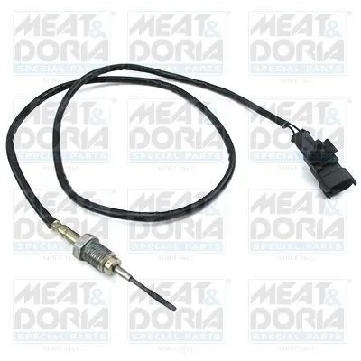 Produktbild von MEAT & DORIA 12450 Abgastemperatursensor für IVECO Daily VI Kastenwagen