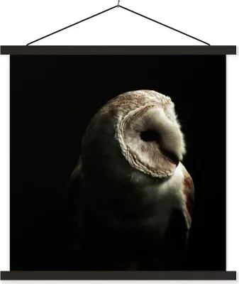 Produktbild von MuchoWow® Textilposter Eule - Vogel - Porträt 90x90 cm mit schwarzem Rahmen - Magnetisches