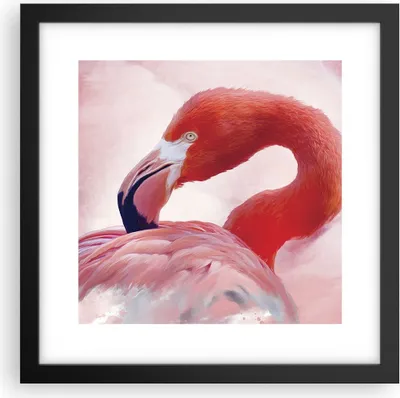 Produktbild von Gerahmtes Poster - Schwarzer Rahmen - Flamingo Vogel Porträt - 30x30 cm - Wand Bild - Wanddeko - Wandbilder - Kunstposter - Wandposter - Bilderrahmen - Bilder - Kunstdruck - P2BAC30x30-4984