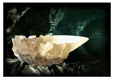 Produktbild von Kristallbecher aus der Höhle, Weiß