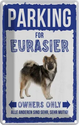 Produktbild von vianmo Blechschild 30x20 cm parking for eurasier Hund