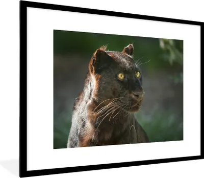 Produktbild von MuchoWow® MuchoWow® Gerahmtes Poster Panther - Nahaufnahme - Schwarz 80x60 cm - Poster mit zchwarzem Bilderrahmen - Schlafzimmer-Dekorationen - Fotoposter
