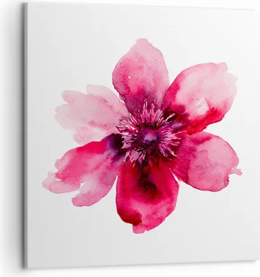 Produktbild von Bild auf Leinwand - Leinwandbild - Malerei Illustration Sommer Blume - 50x50cm - Wand Bild - Wanddeko - Leinwanddruck - Bilder - Kunstdruck - Leinwand bilder - Wandkunst - AC50x50-2789