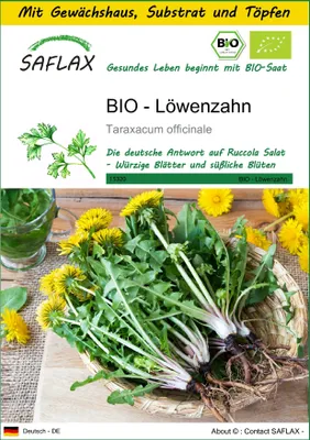 Produktbild von SAFLAX Anzucht Set - BIO - Löwenzahn - Taraxacum officinale - 400 Samen - Mit Mini-Gewächshaus, Anzuchtsubstrat und 2 Töpfen