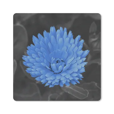Produktbild von MuchoWow® Mauspad Mousepad Blumen - Schwarz - Weiß - Blau 30x30 cm - Mousepads - Maus Mat - Pad - Mausunterlage - Gaming