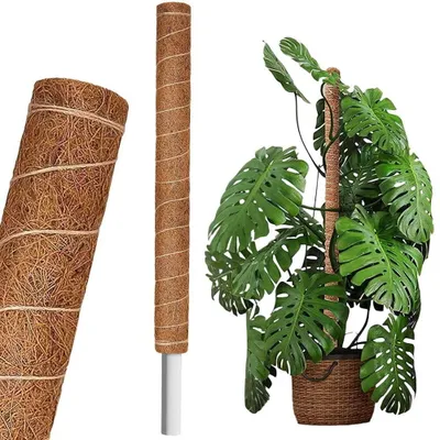 Produktbild von Deco4Home Kokosnuss Pfahl Stange Unterstützung 150 cm x 32 mm x 25 mm