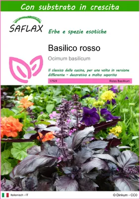 Immagine prodotto di SAFLAX  - Basilico rosso  - 200 semi - Con substrato - Ocimum