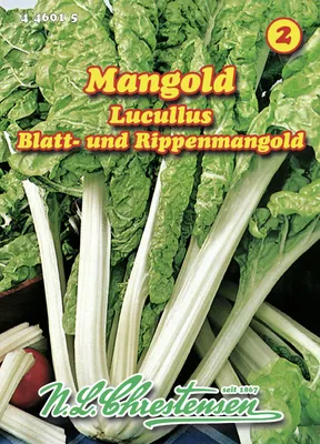 Produktbild von Mangold Lucullus | Mangoldsamen von N.L. Chrestensen