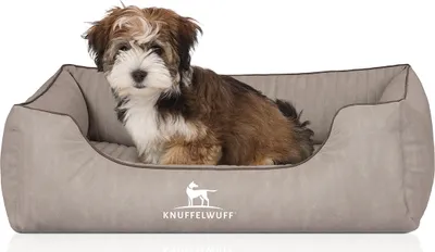 Produktbild von Knuffelwuff Orthopädisches Hundebett Tampa aus laser-gestepptem Kunstleder M-L 85 x 63cm Grau