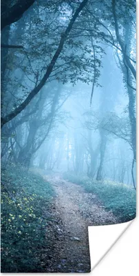 Produktbild von MuchoWow® Poster Bäume - Natur - Nebel 60x120 cm - Wandschmuck