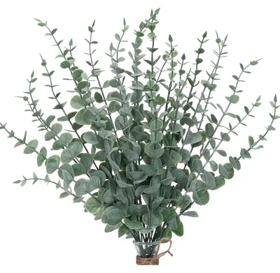 Produktbild von Künstlicher Eukalyptus Eukalyptuszweig Kunstpflanze - 30 Stück - Kunststoff - Grau-grün mit Weißer Reif-Optik - Für Blumenarrangements und Festlichkeiten