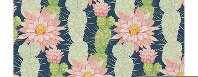 Produktbild von Coloray Fototapete 360x250 cm Vlies-Fototapete - Kakteen Blumen Kaktus Blumen