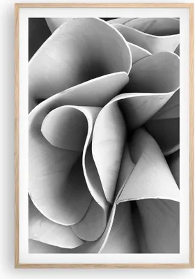 Produktbild von Gerahmtes Poster - Rahmen in heller Eiche - Material Ornament Stück - 61x91,5 cm - Wand Bild - Wanddeko - Wandbilder - Kunstposter - Wandposter - Bilderrahmen - Bilder - Kunstdruck - P2NPA61x91-4993