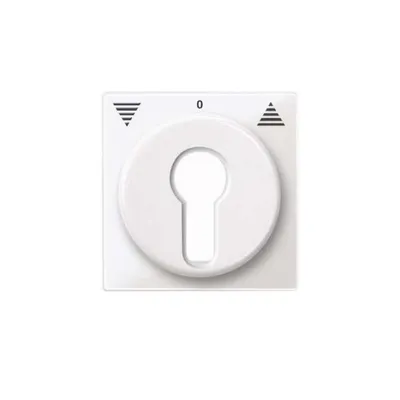 Immagine prodotto di Merten Piastra centrale pws/gl 319419