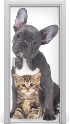 Produktbild von Tulup Türaufkleber 95x205 cm Dekorative Aufkleber Selbstklebend Wasserdichte Tapete Abnehmbar Schlafzimmer Wohnzimmer Wohnkultur - Hund und Katze Wand