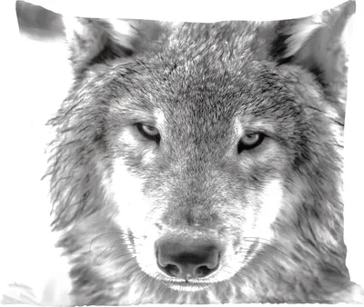 Produktbild von MuchoWow® Zierkissen Sofakissen Wohnzimmer Dekokissen 45x45 cm Wolf im Winter in Schwarz und Weiß - Schlafpolster - Polster für das Sofa