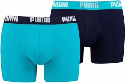 Obrázek produktu pro Slipy Puma 521015001-796 pro Pánské