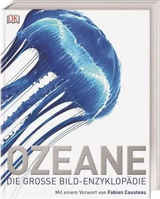 Produktbild von Ozeane