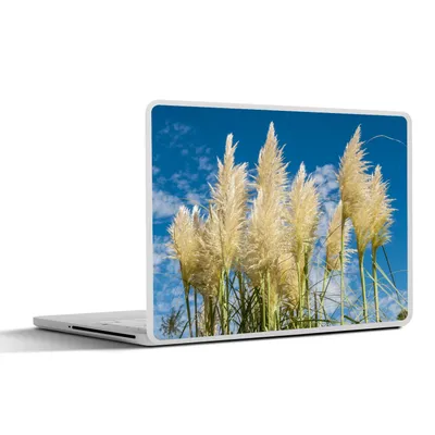 Produktbild von MuchoWow® Laptop Aufkleber Sticker Cover Pampasgras - Pflanze - Natur 25x18 cm - Laptop-Deko