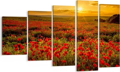Produktbild von Bild auf Leinwand - Leinwandbild - Mohn Blume Wiese - 100x60cm - Wand Bild - Wanddeko - Wandbilder - Leinwanddruck - Bilder - Kunstdruck - Wanddekoration - Leinwand bilder - Wandkunst - EG100x60-3643