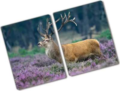 Produktbild von Tulup Glas Herdabdeckplatte - 2x40x52 cm - Glaskeramikkochfeld-Abdeckung Spritzschutz Glasabdeckplatte Kochplattenabdeckung und Schneidebrett - Zweiteilig - Tiere - Hirsch im Lavendel - Orange