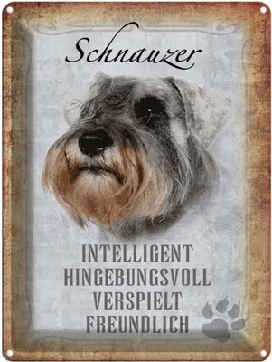 Produktbild von vianmo Blechschild 40x30 cm Schnauzer Hund
