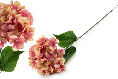 Zdjęcie produktu dla Viridis Kwiat Sztuczny Hortensja 73Cm
