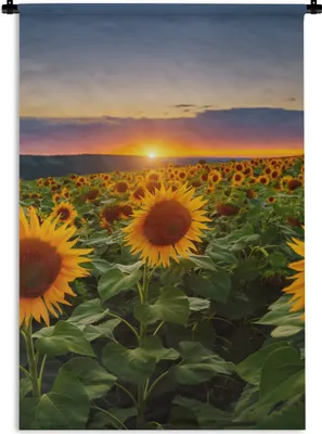 Produktbild von MuchoWow® Wandteppich Wandbehang Blumen - Nacht - Sonnenuntergang - Sonnenblume - Horizont 120x180 cm Tapisserie Dekoration Wandtuch - Schlafzimmer - Dekorationen für das Haus