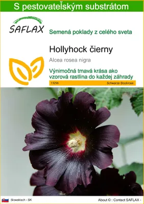 Obrázok produktu pre SAFLAX - Hollyhock čierny - Alcea rosea nigra - 100 Semená - S pestovateľským substrátom bez klíčkov