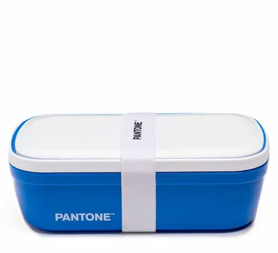 Bento-Lunchbox mit Trennwand, 1,7 l, blau, 12x7x20,7 cm