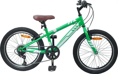 Image de Vélo de Montagne 20 Pouces 6-Speed pour 5-8 ans Vert