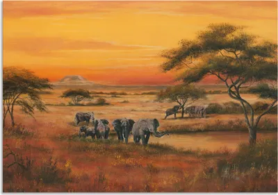 Produktbild von ARTland Wandbild Alu für Innen & Outdoor Afrika Elefanten Größe: 100x70 cm