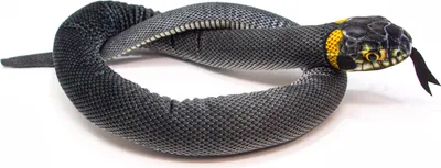 A stuffed toy snake coiled on a white background.