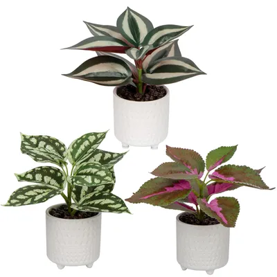 Kunstpflanzen-Set 3er, Keramiktopf, Grünpflanze, Büro-Deko, 19 cm