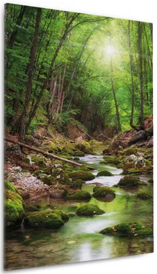 Produktbild von Wallario Premium Leinwandbild Fluss im Wald in Größe 60 x 90 cm