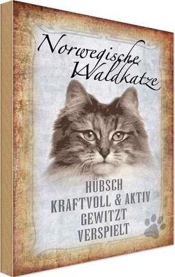Produktbild von vianmo Holzschild 30x20 cm norvegische Waldkatze Katze Wanddeco Tier Haustier