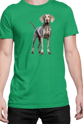 Produktbild von Herren T-Shirt Dogs Breeds Weimaraner Dog Breed 005, Man S / Grün