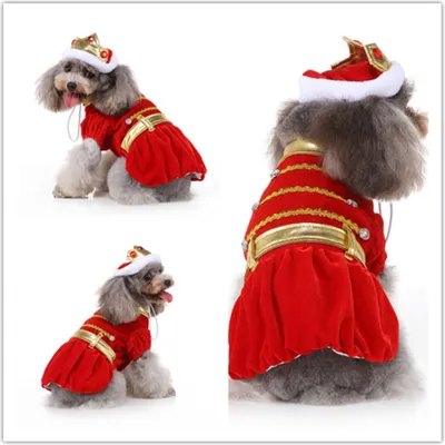 Image de Manteau pour chien ZELURXX, robe pour chien, costume d'Halloween, costumes de Noël pour chiens, vêtements pour chiens et chats, déguisements de fête, contrastes de couleurs, taille L