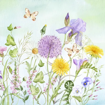 Produktbild von Servietten Papier 33x33cm 3-lag. mit Wildblumen Motiv 20 Stück