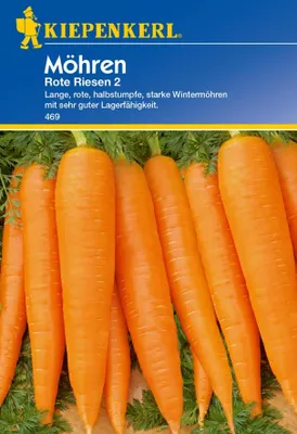 Produktbild von Kiepenkerl Möhrensamen Rote Riesen 2