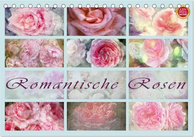 Produktbild von Romantische Rosen (Tischkalender 2025 DIN A5 quer), CALVENDO Monatskalender