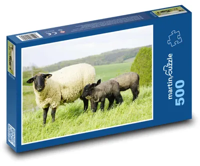 Produktbild von Puzzle 500 Schafe auf der Wiese - martinpuzzle